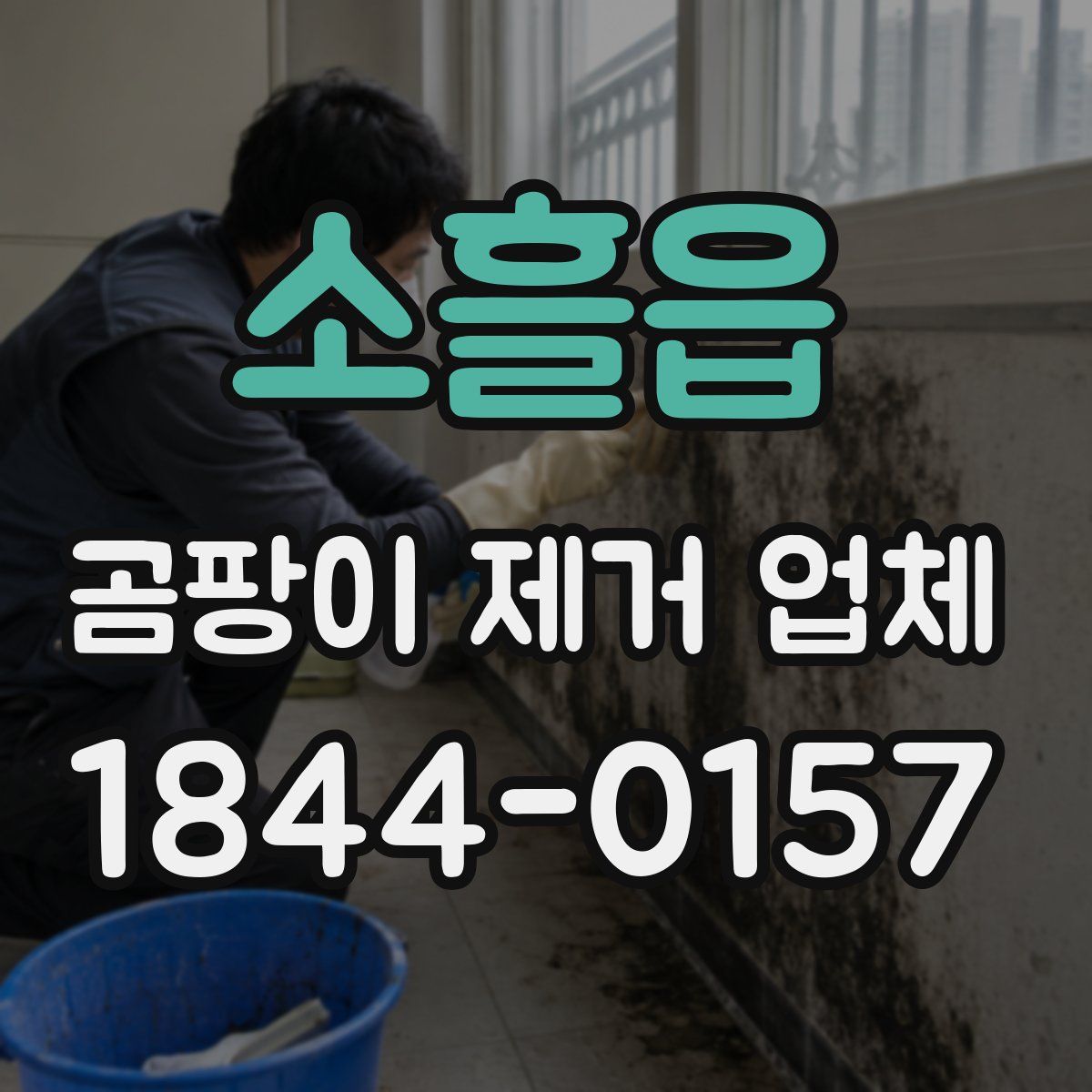 소흘읍 곰팡이 제거 업체