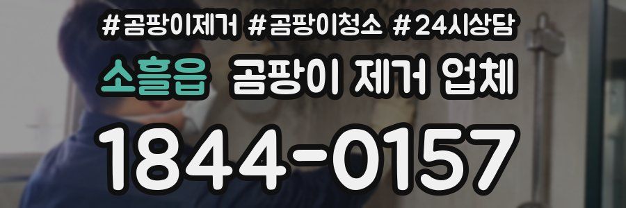 소흘읍 곰팡이 제거 업체