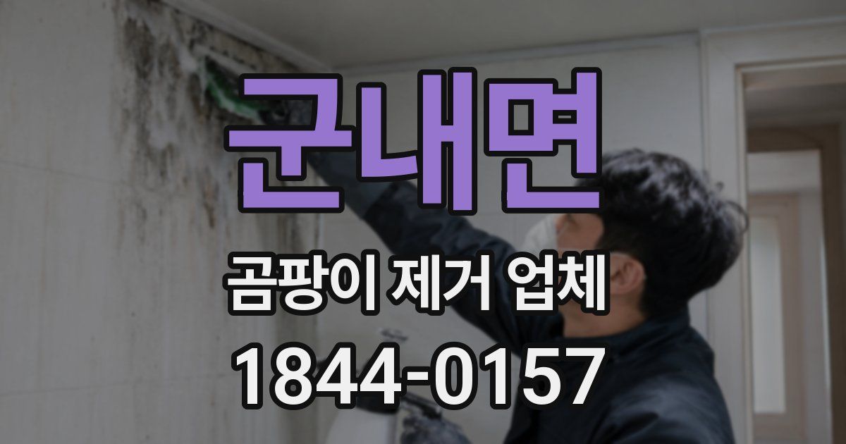 군내면 곰팡이 제거 업체