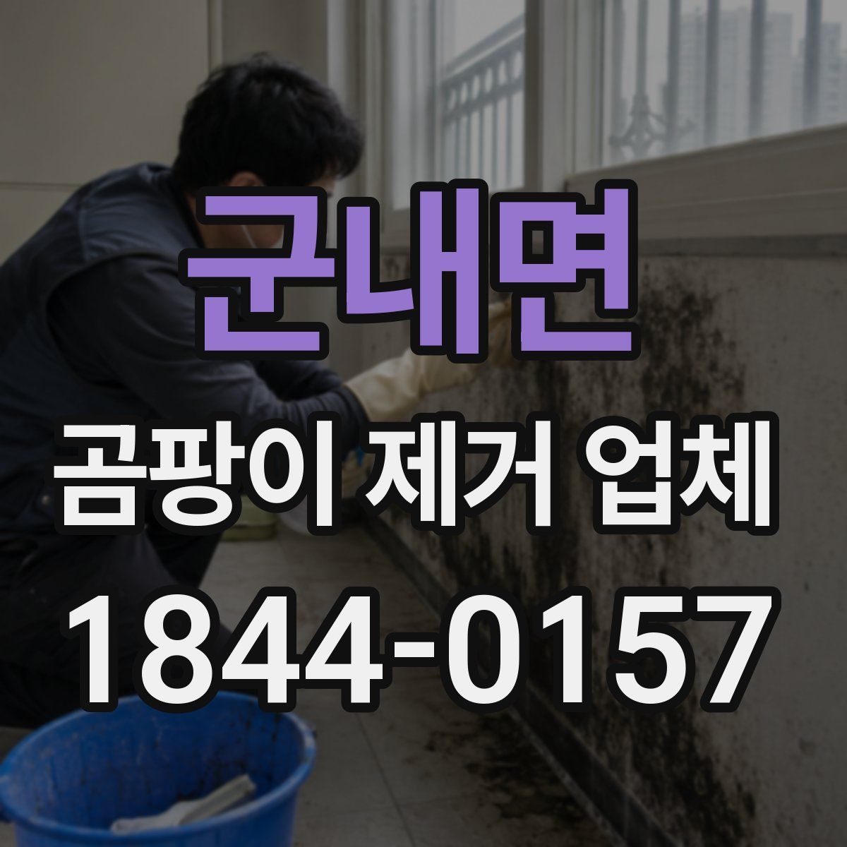 군내면 곰팡이 제거 업체