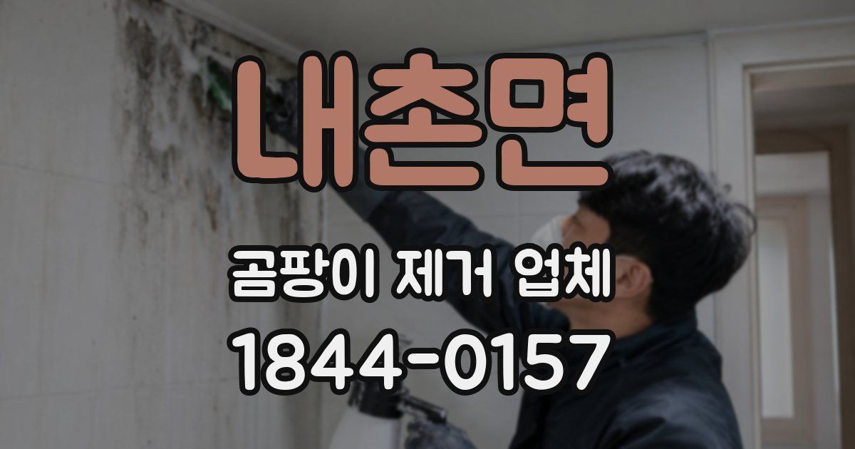 내촌면 곰팡이 제거 업체