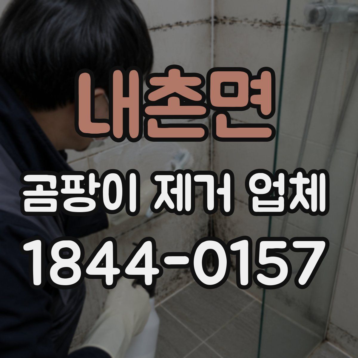 내촌면 곰팡이 제거 업체