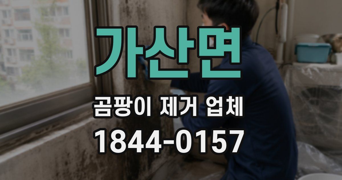 가산면 곰팡이 제거 업체