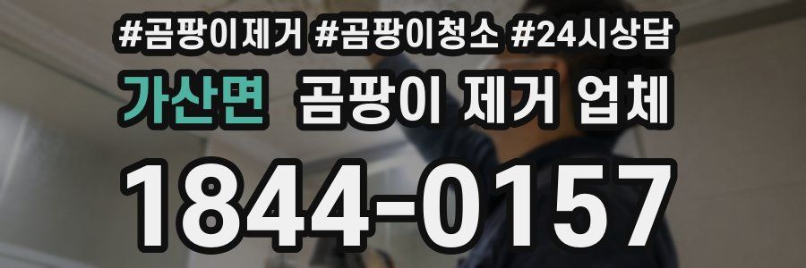 가산면 곰팡이 제거 업체