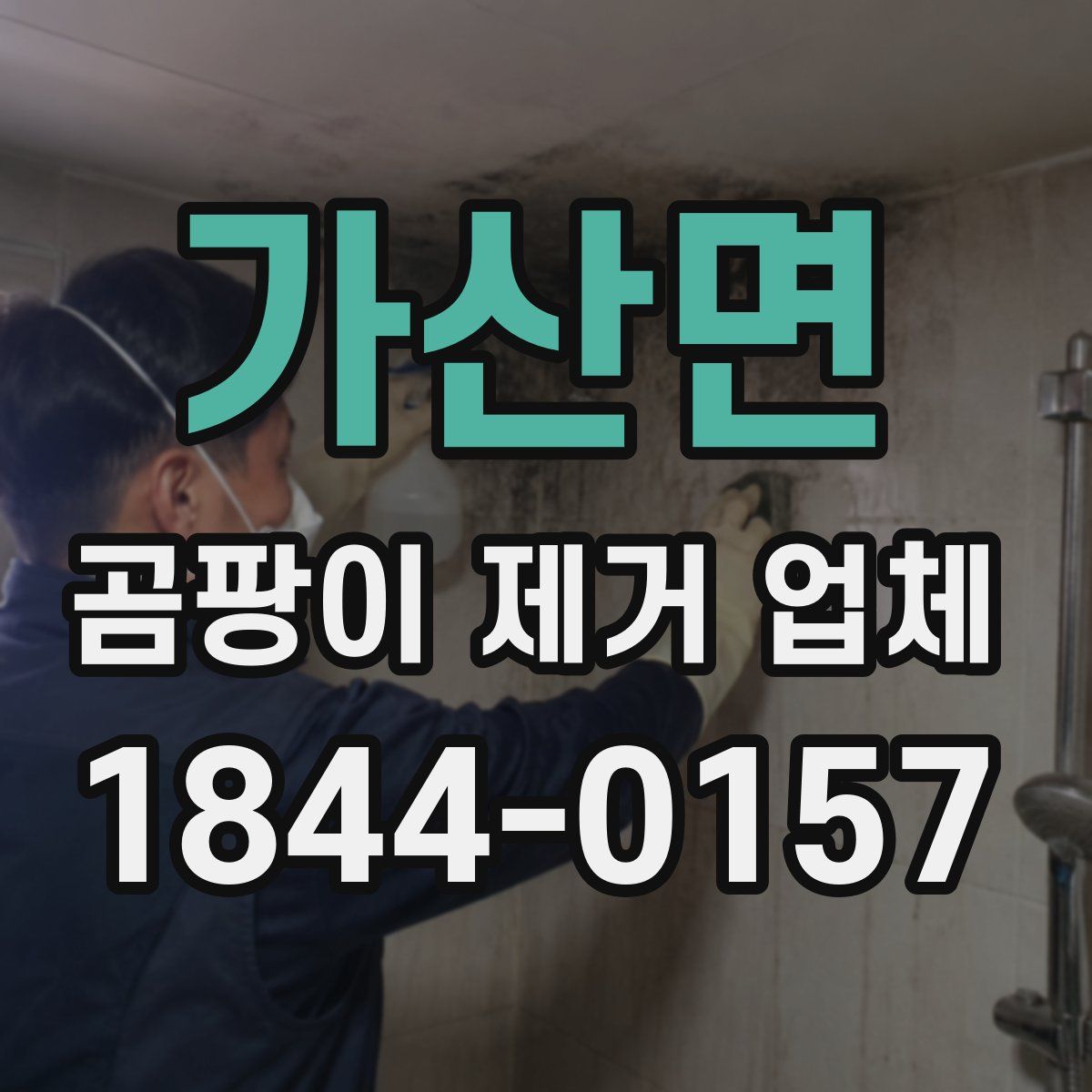 가산면 곰팡이 제거 업체