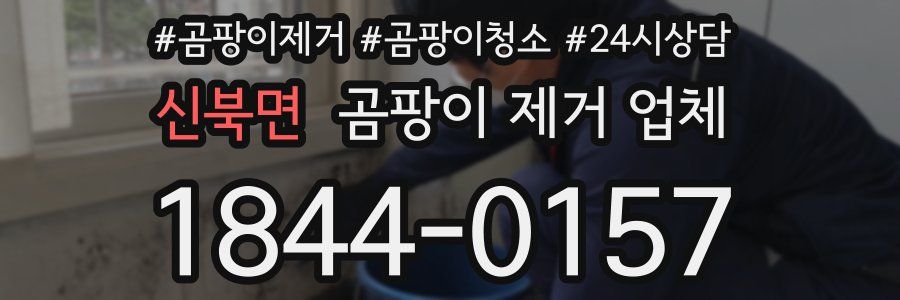 신북면 곰팡이 제거 업체