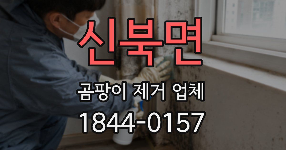 신북면 곰팡이 제거 업체