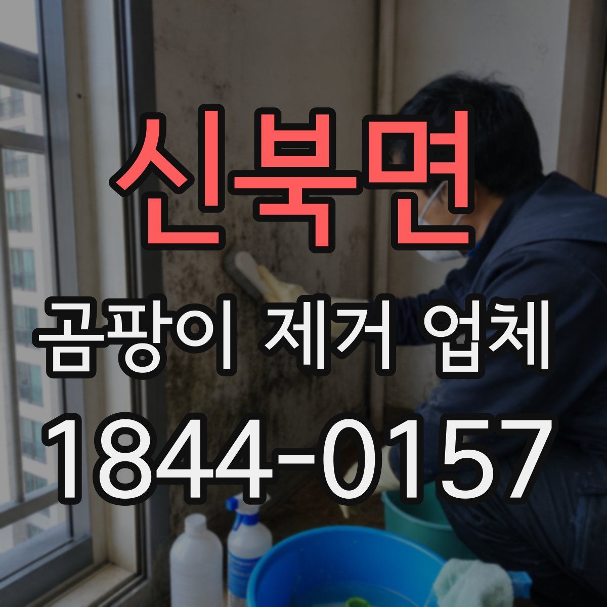 신북면 곰팡이 제거 업체