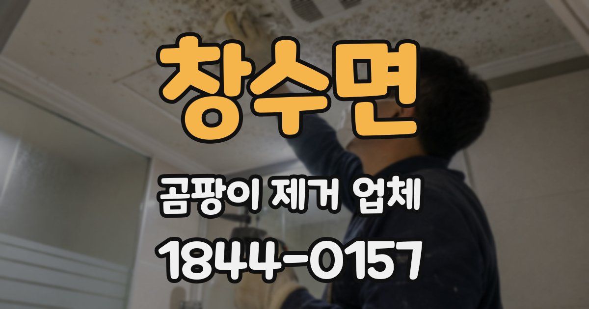 창수면 곰팡이 제거 업체