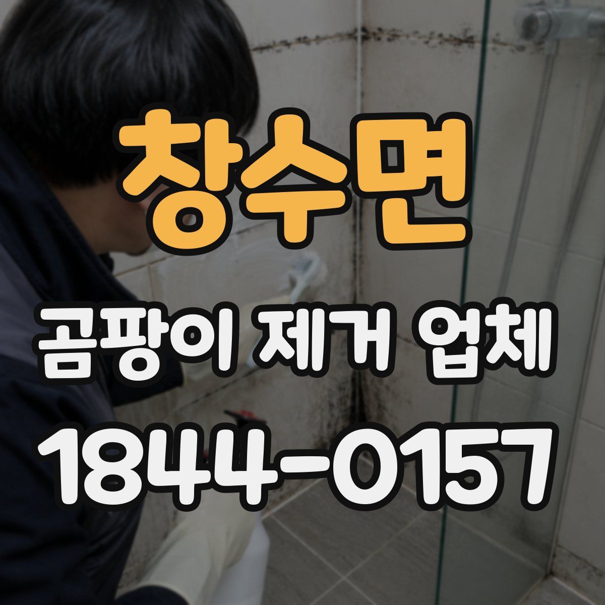 창수면 곰팡이 제거 업체