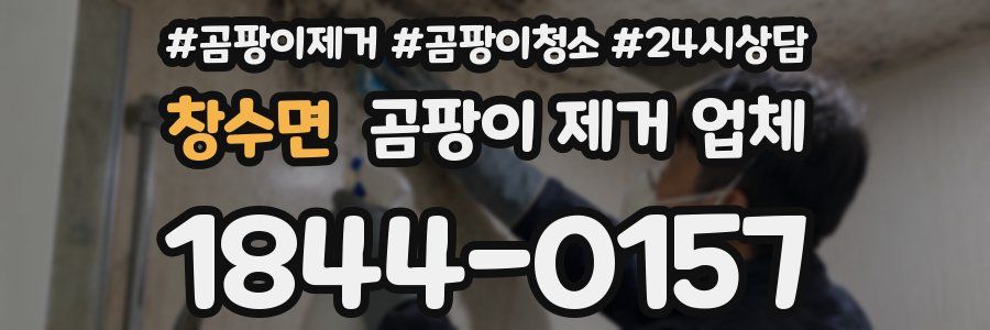 창수면 곰팡이 제거 업체