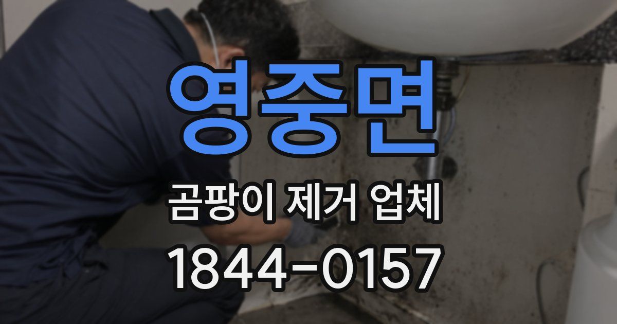 영중면 곰팡이 제거 업체