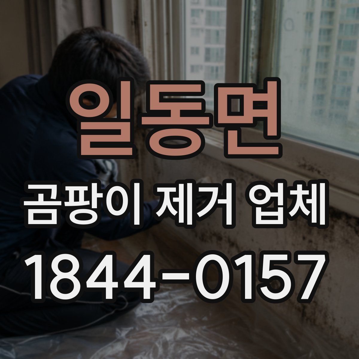 일동면 곰팡이 제거 업체