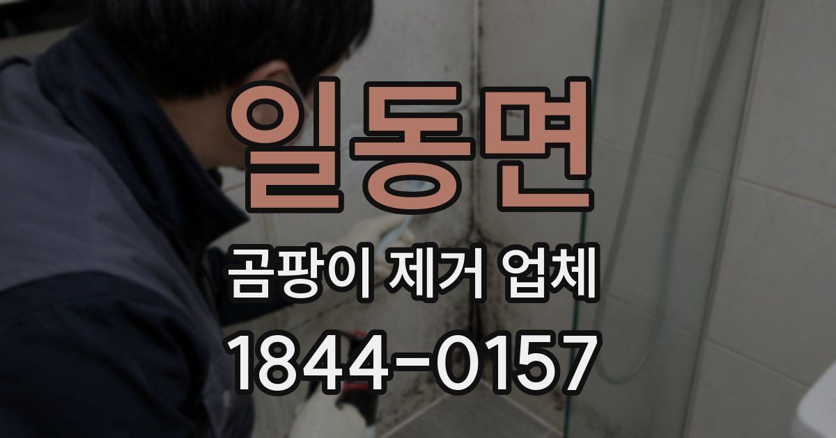 일동면 곰팡이 제거 업체