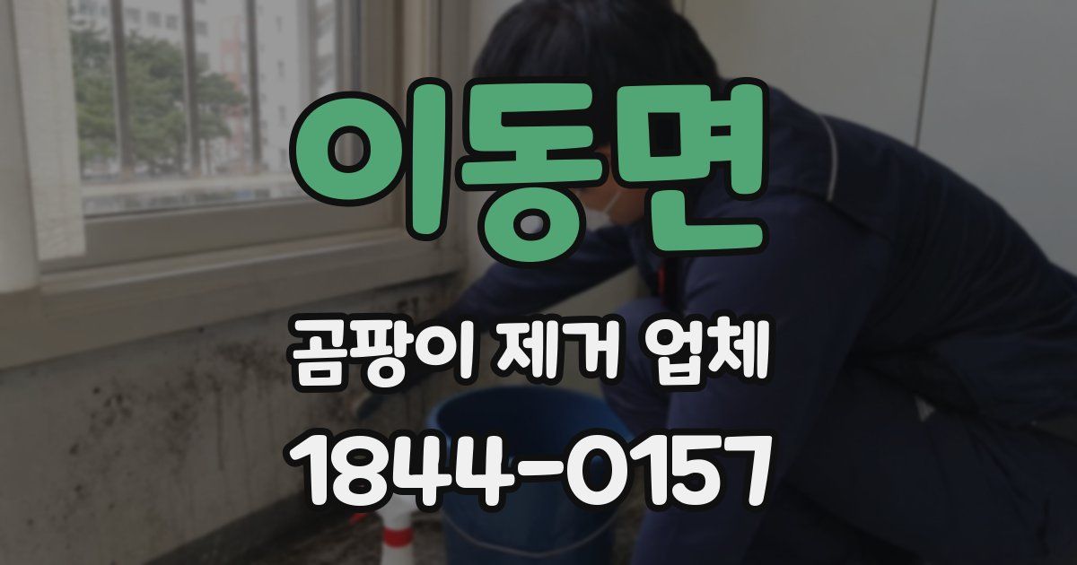 이동면 곰팡이 제거 업체