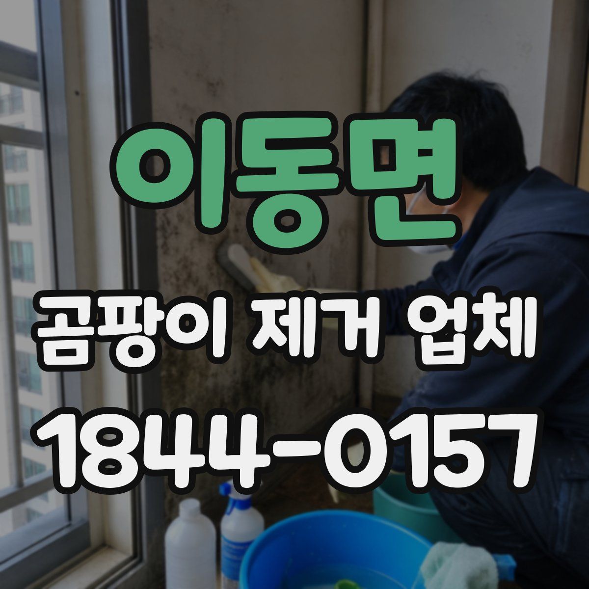 이동면 곰팡이 제거 업체