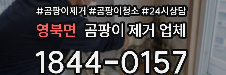 영북면 곰팡이 제거 업체
