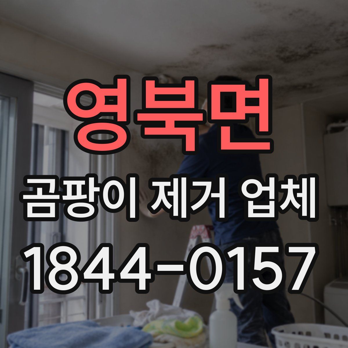 영북면 곰팡이 제거 업체
