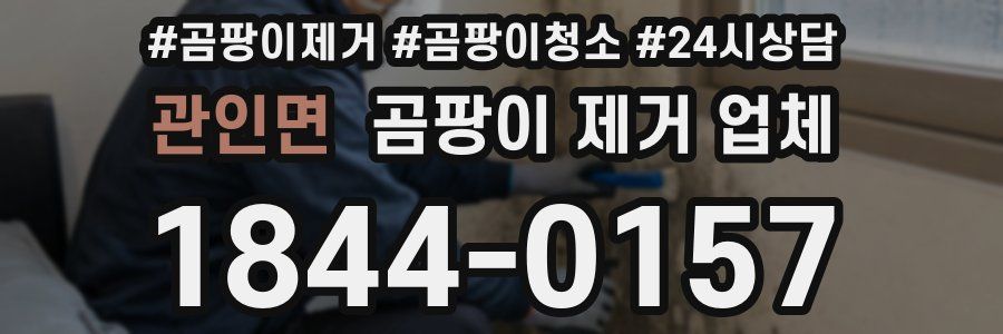 관인면 곰팡이 제거 업체