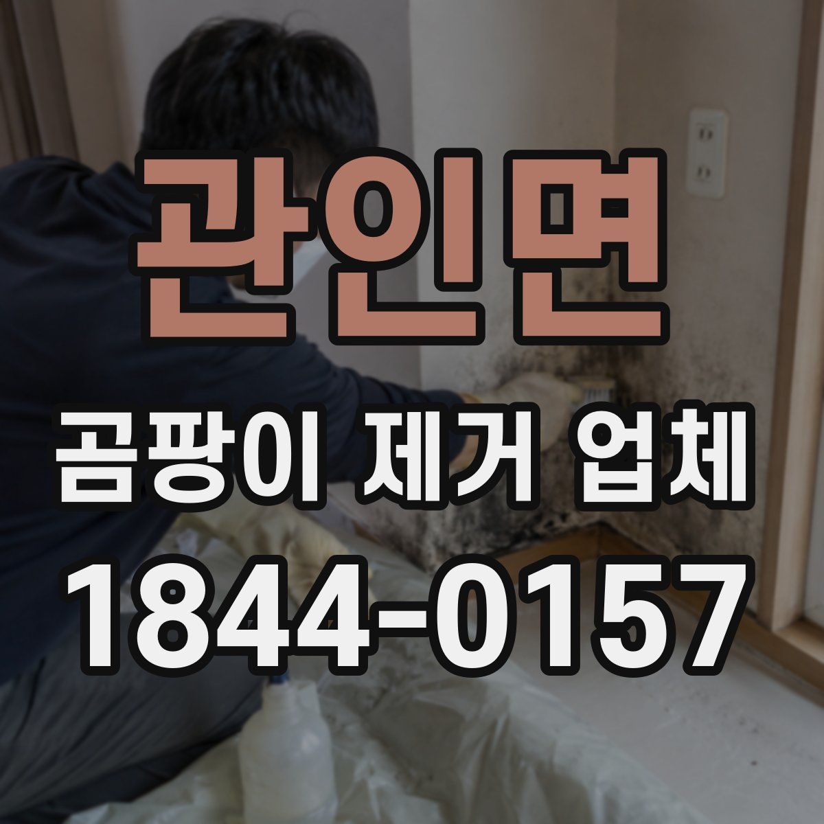 관인면 곰팡이 제거 업체