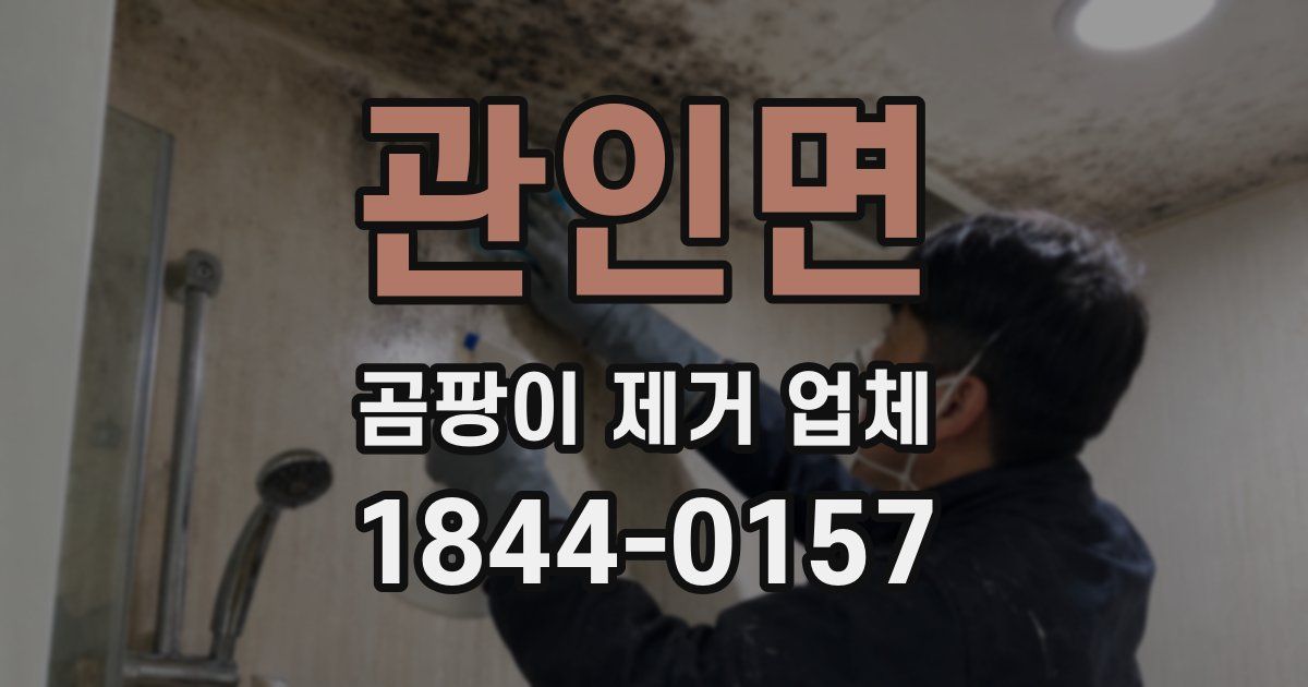 관인면 곰팡이 제거 업체
