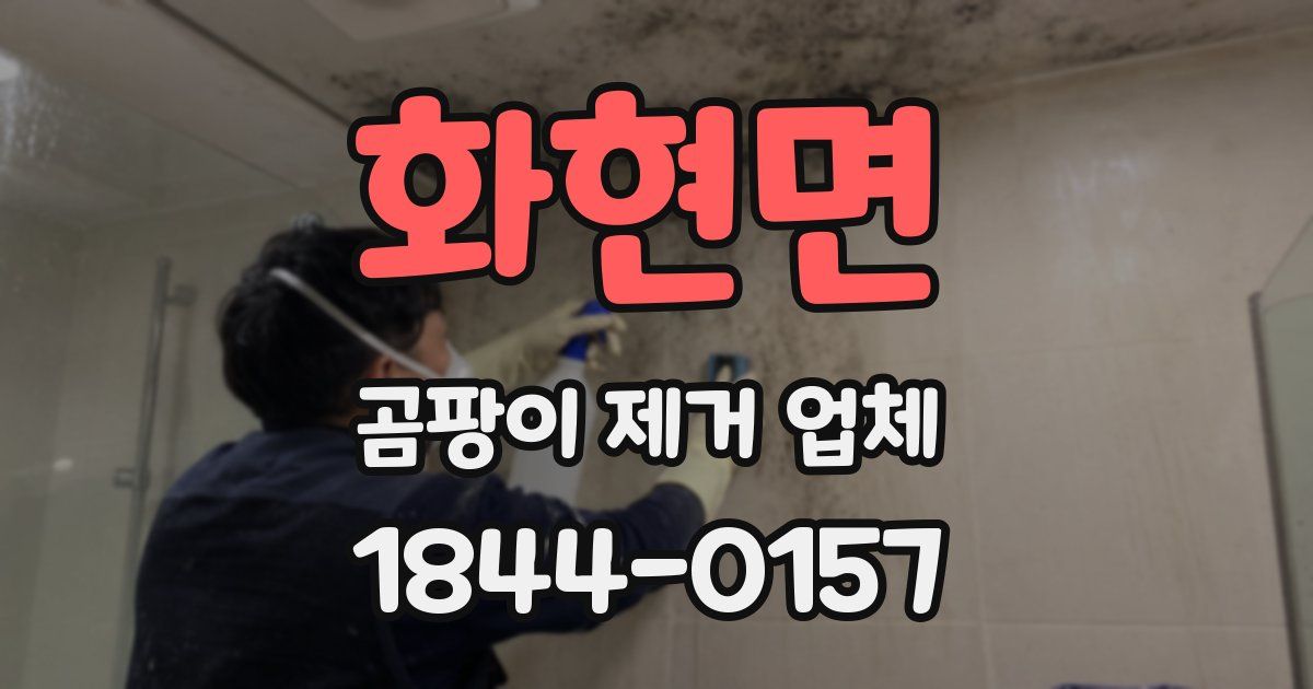 화현면 곰팡이 제거 업체