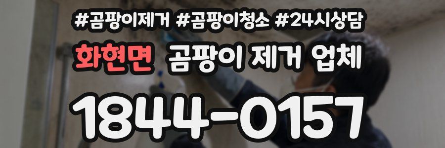 화현면 곰팡이 제거 업체