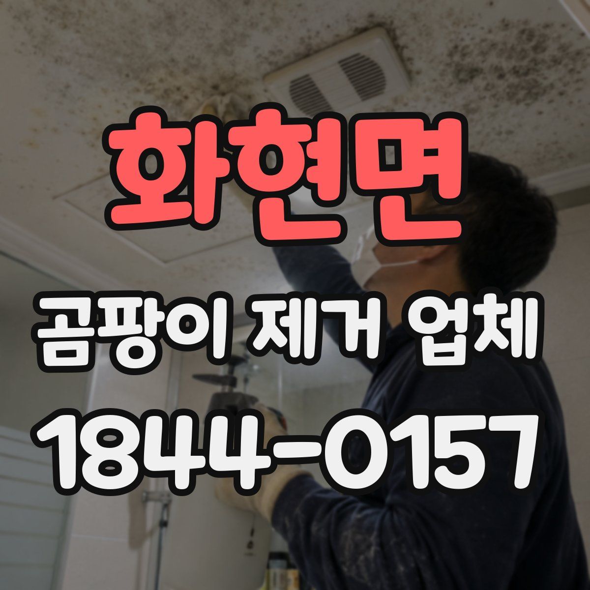 화현면 곰팡이 제거 업체