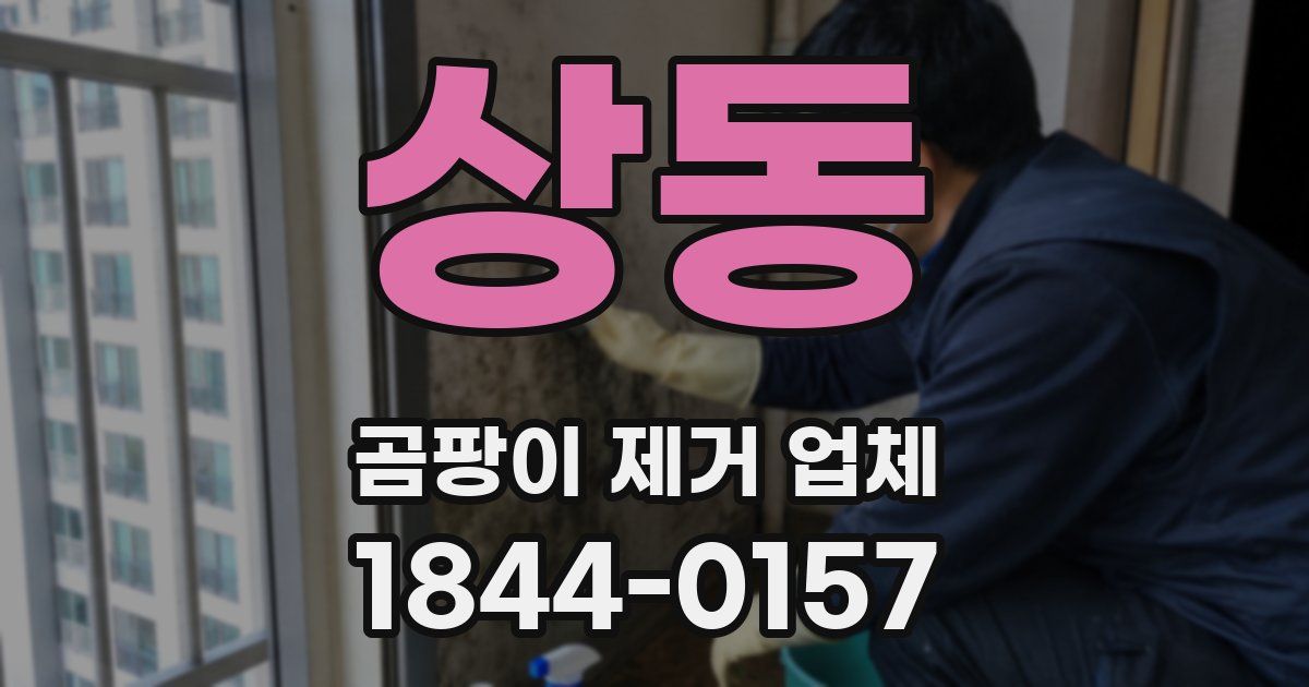 상동 곰팡이 제거 업체
