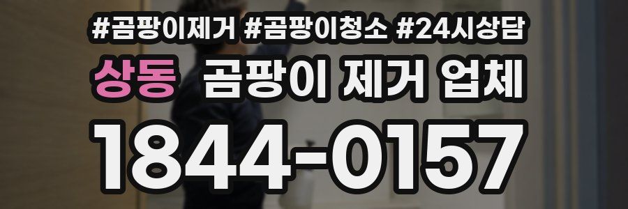 상동 곰팡이 제거 업체