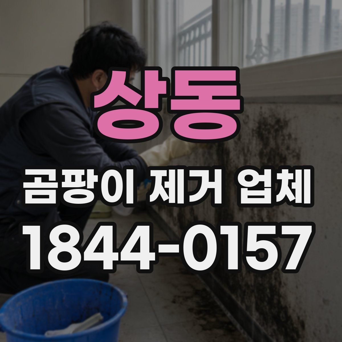 상동 곰팡이 제거 업체