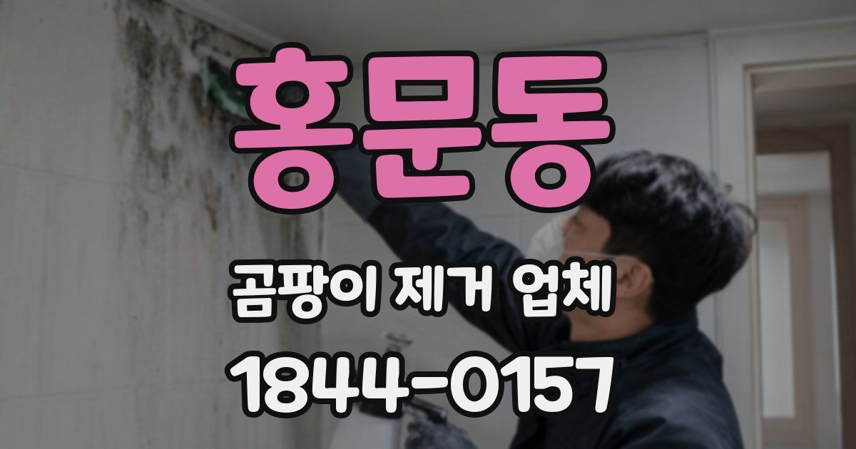 홍문동 곰팡이 제거 업체