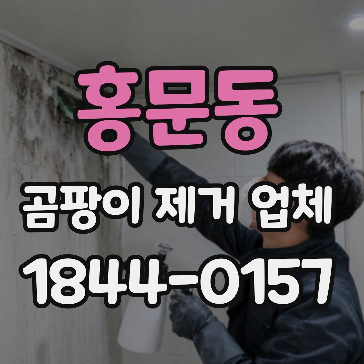 홍문동 곰팡이 제거 업체