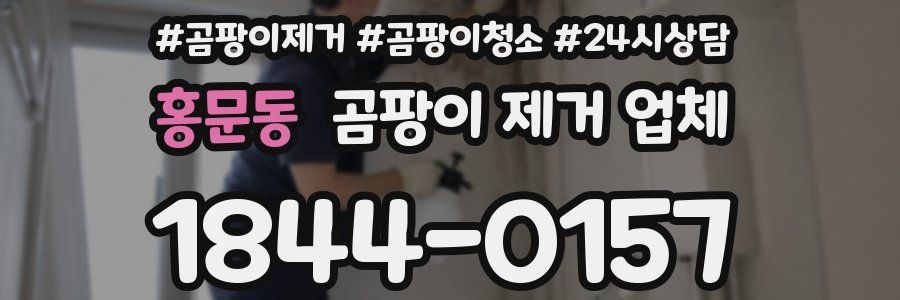 홍문동 곰팡이 제거 업체