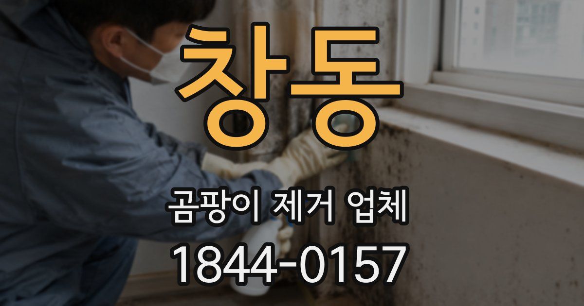 창동 곰팡이 제거 업체