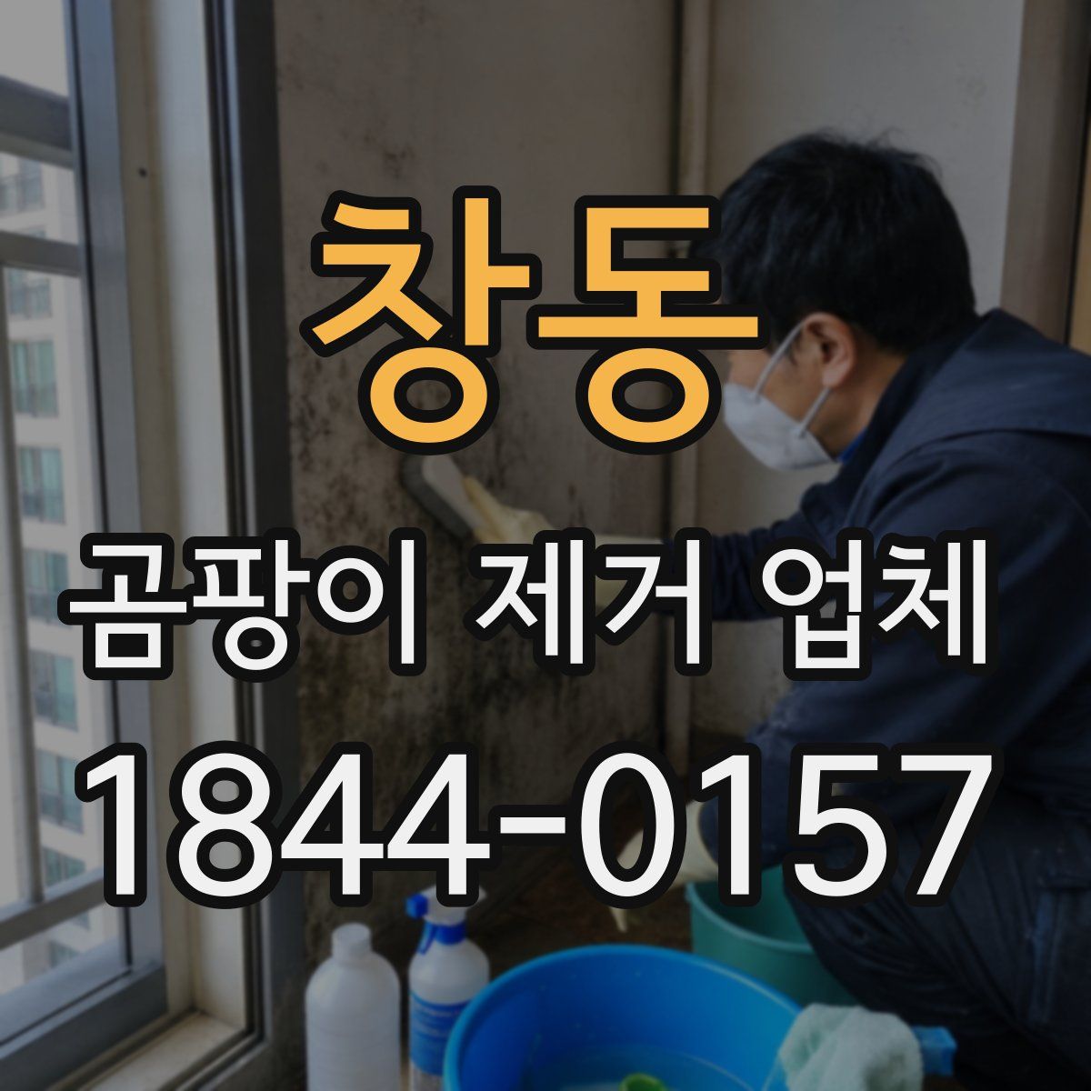 창동 곰팡이 제거 업체