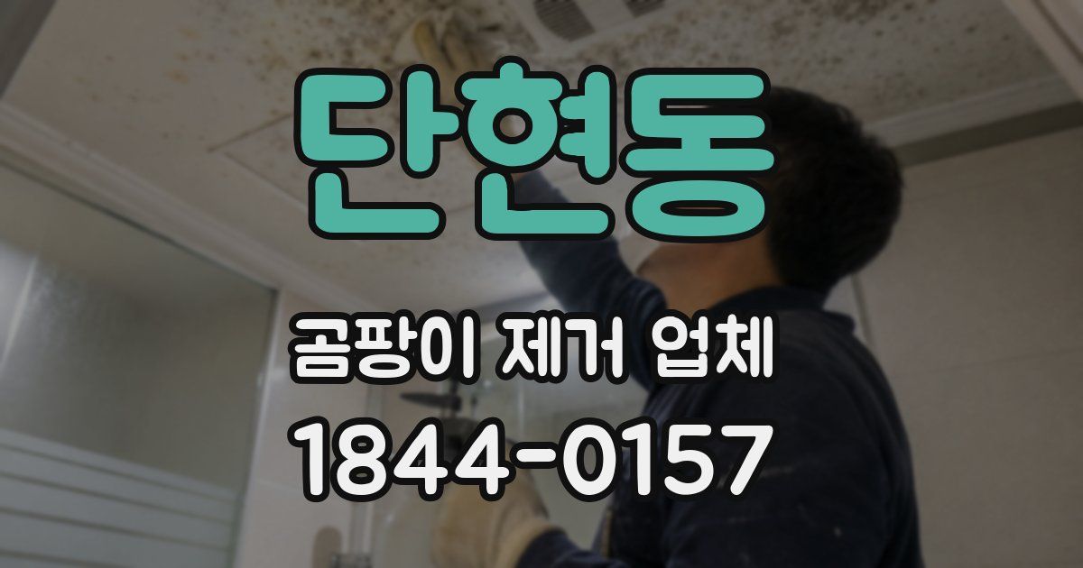 단현동 곰팡이 제거 업체