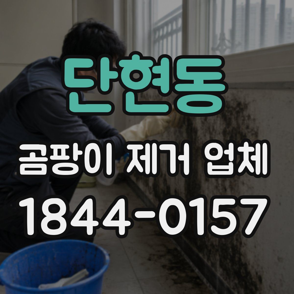 단현동 곰팡이 제거 업체