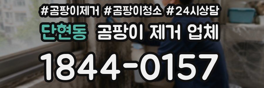 단현동 곰팡이 제거 업체