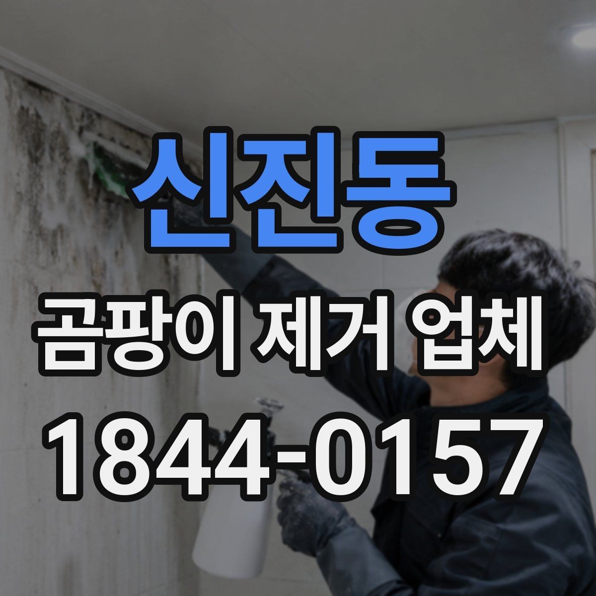 신진동 곰팡이 제거 업체 환기 부족으로 생긴 오염 점검 체크포인트