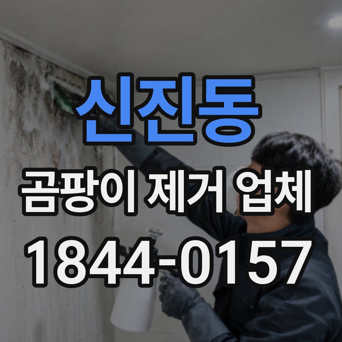 신진동 곰팡이 제거 업체