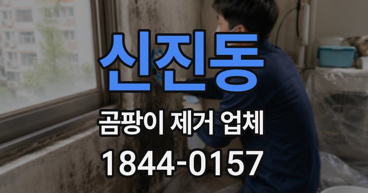 신진동 곰팡이 제거 업체