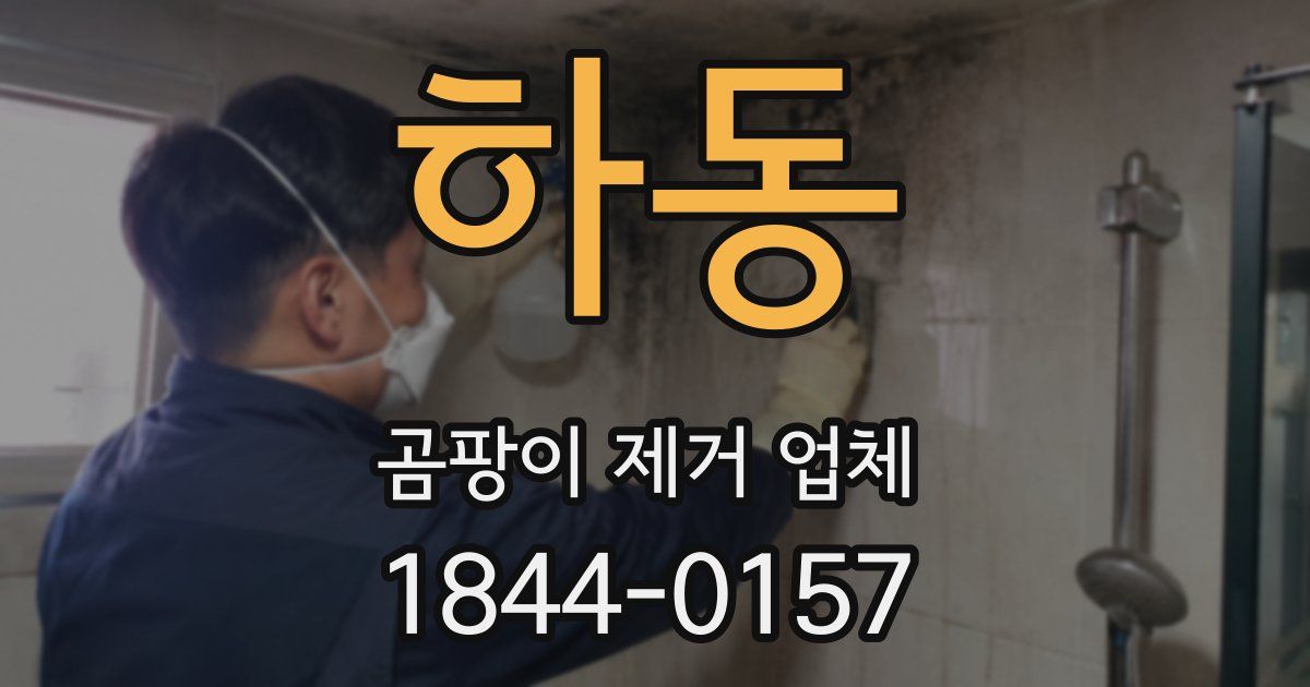 하동 곰팡이 제거 업체