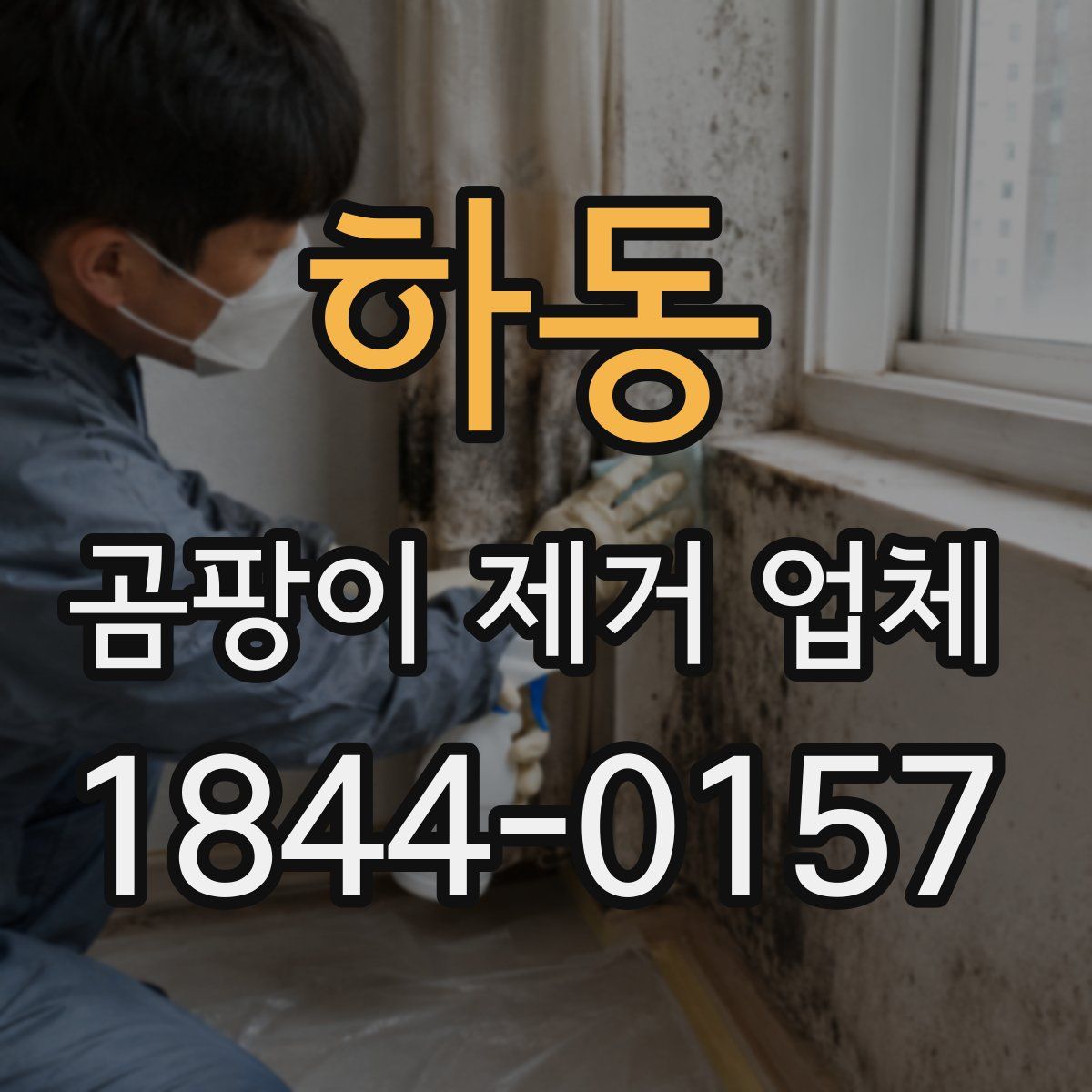 하동 곰팡이 제거 업체
