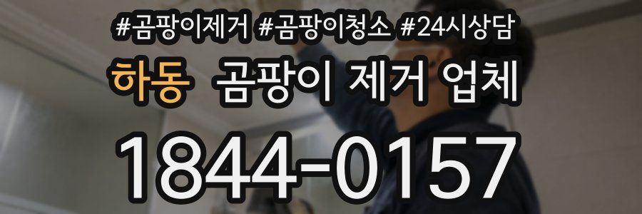 하동 곰팡이 제거 업체