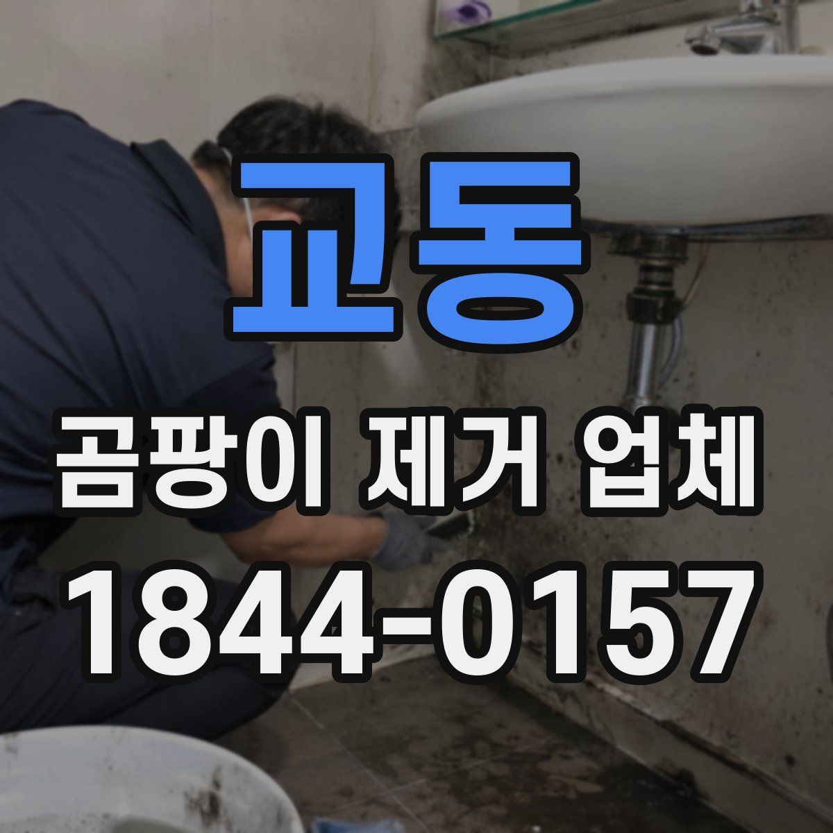 교동 곰팡이 제거 업체