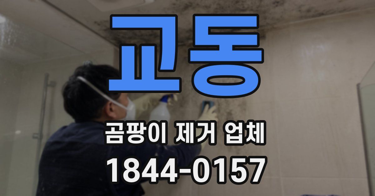 교동 곰팡이 제거 업체