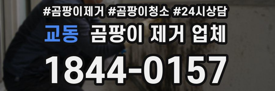 교동 곰팡이 제거 업체