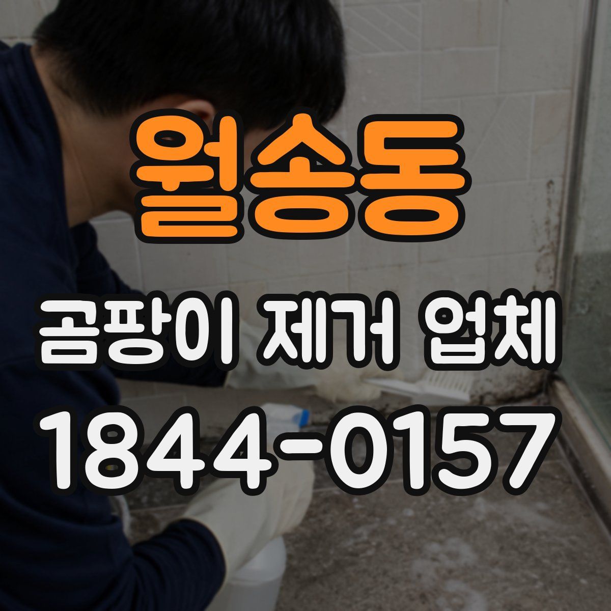 월송동 곰팡이 제거 업체