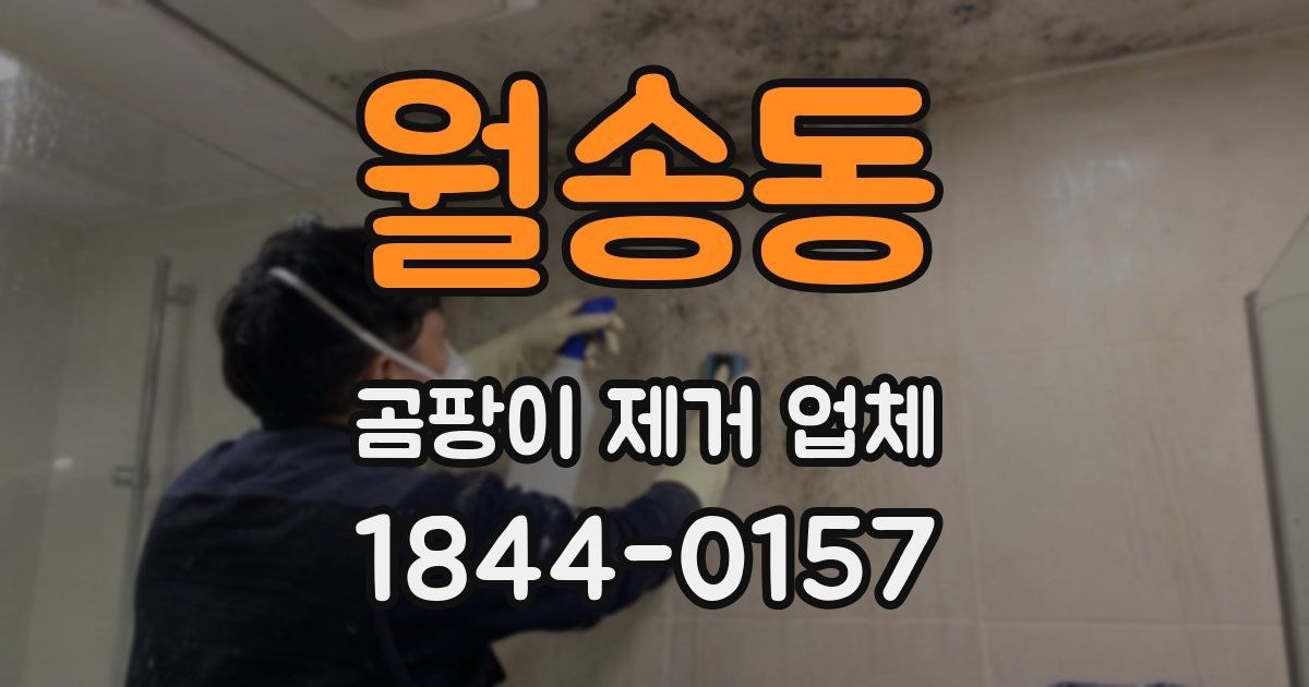 월송동 곰팡이 제거 업체